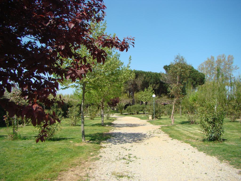 Camping Cap Sud Alénya Exterior photo
